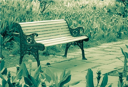 长椅,花园