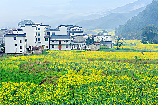 画里乡村婺源