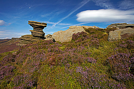 英格兰,德贝郡,盐瓶,岩石构造,荒野,峰区国家公园
