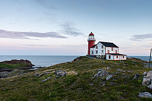 灯塔,大西洋,海岸,纽芬兰,拉布拉多犬,加拿大
