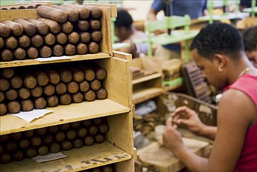 古巴,哈瓦那,雪茄,雪茄工厂