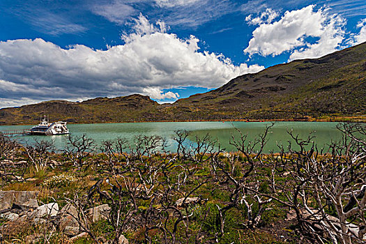 智利,麦哲伦省,区域,托雷德裴恩国家公园,拉哥裴赫湖,湖,渡轮
