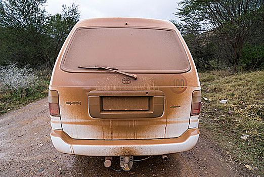 尘土,汽车,碎石路,自然保护区,东开普省,南非,非洲