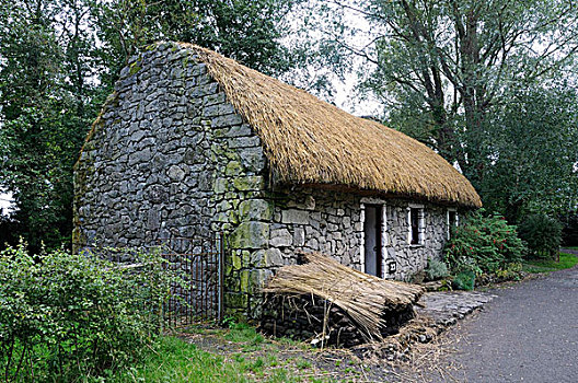 茅草屋顶,农舍,公园,区域,爱尔兰,欧洲