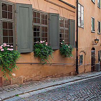 窗台花箱,窗户,建筑,格姆拉斯坦,斯德哥尔摩,瑞典