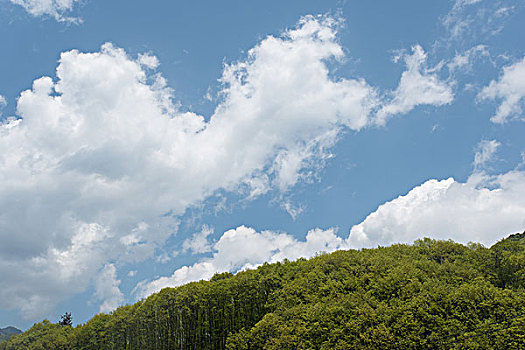 神农架群山