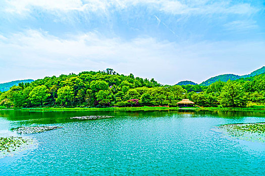 美景,杭州,西湖