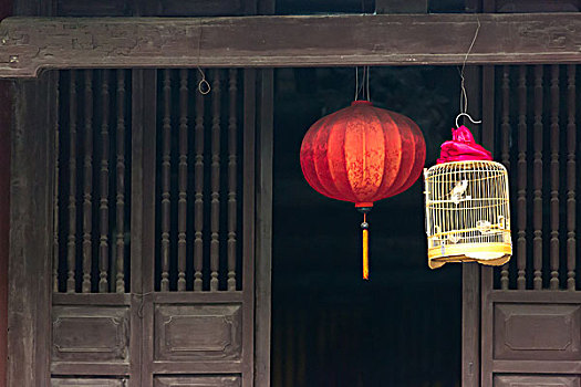 灯笼,玉,河内,越南,亚洲