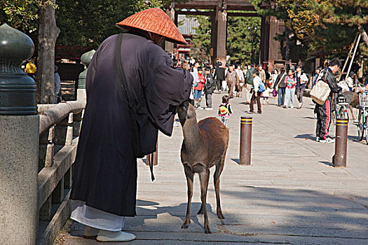 靠近,东大寺,奈良,日本