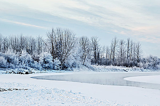 霜,初雪,遮盖,风景,树,河,冰冻,蒸汽,上升,早晨,太阳,堡垒,艾伯塔省,加拿大