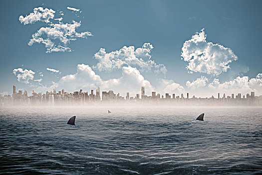 城市,地平线,上方,鲨鱼,海洋