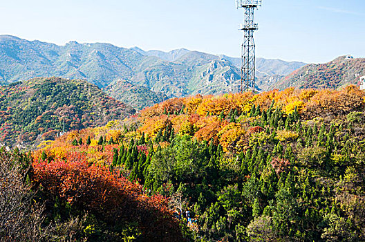 长城秋景