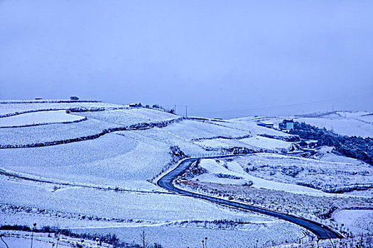 云南东川红土地雪原