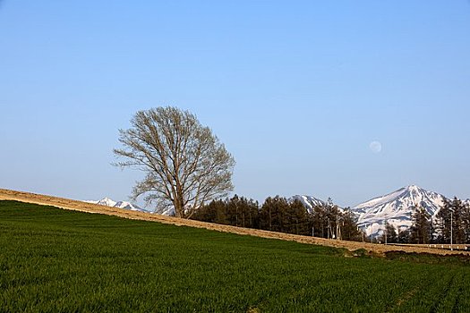 哲学体系,美瑛