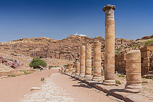 柱子,罗马,公路,庙宇,佩特拉,考古,公园,约旦