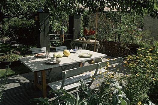 花园,平台,餐具摆放,黄花