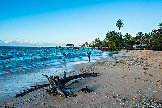 日落,海滩,多巴哥岛,特立尼达和多巴哥,加勒比