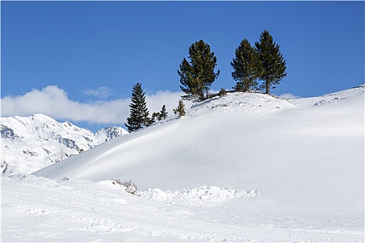 雪,山景,奥地利,阿尔卑斯山
