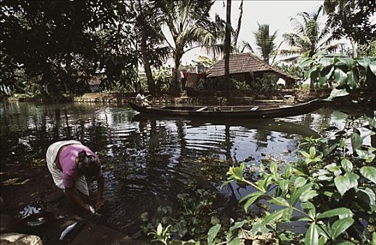 女人,洗,鱼,水中,喀拉拉,印度