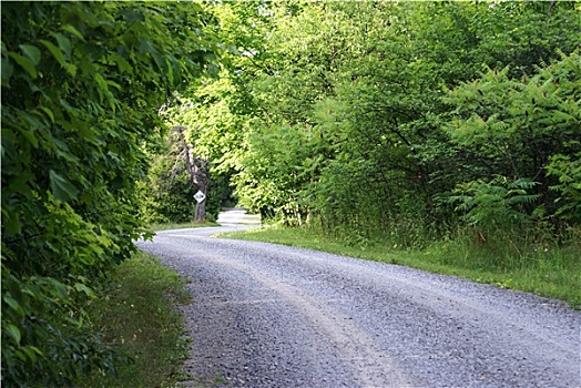 乡间公路