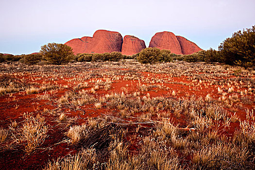 奥尔加,蓝色,钟点,乌卢鲁卡塔曲塔国家公园,北领地州,澳大利亚