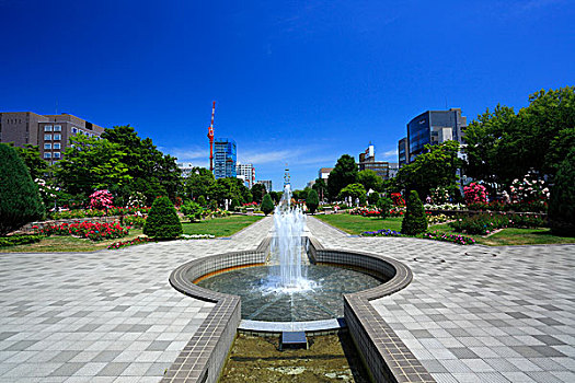札幌,大通公园