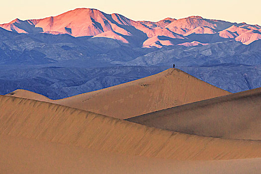 一个,摄影师,站立,上面,高,沙丘,日出,亮光,死亡谷国家公园