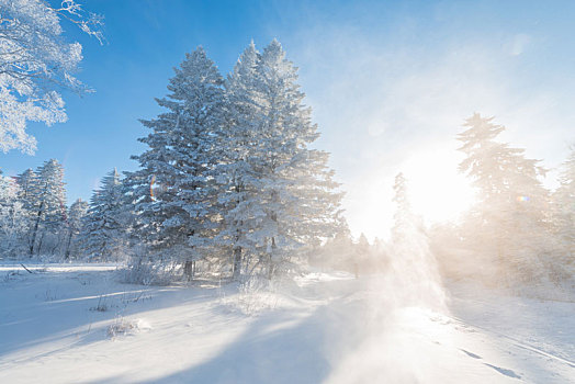 冬季长白山的雪地和雾凇