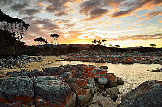 石头,树,日落,火焰湾,塔斯马尼亚,澳大利亚