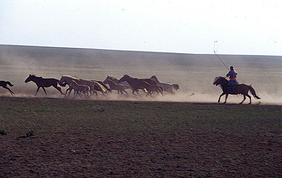 乌兰浩特草原上套马