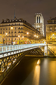 巴黎圣母院,大教堂,夜晚,巴黎,法国