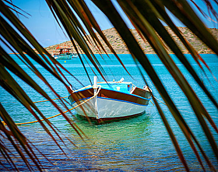 渔船,海岸,克里特岛,希腊