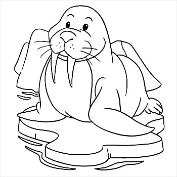 打闹,海滩海象,重,海洋哺乳动物,动物园海象,海鸥,海滩,插画海象,悲伤