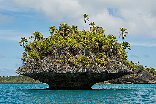 斐济,南方,多,岛屿,泻湖,室内,火山,火山口,蘑菇,小岛,珊瑚,石灰石,形状,吃剩下,小,有机生物,波浪,动作
