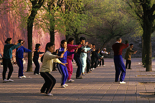 中国,北京,人,太极拳,墙壁,故宫