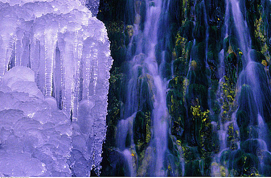 冰,瀑布,弓河,靠近,艾伯塔省,加拿大