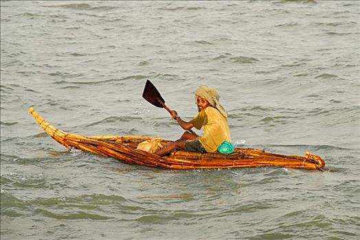 桨手,纸莎草,船,塔纳湖,靠近,埃塞俄比亚