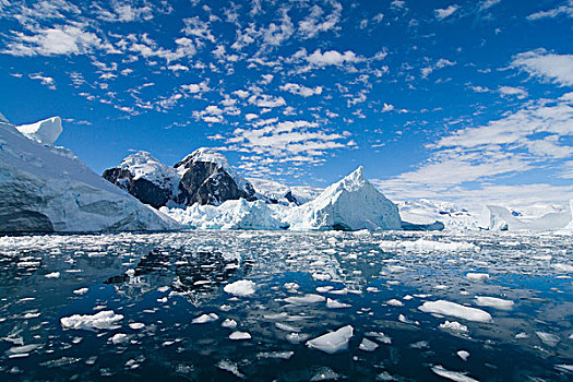 冰河,西部,南极半岛,南极,南大洋