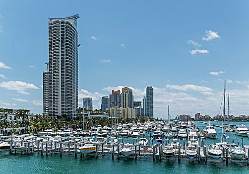 停泊,游艇,公寓,迈阿密海滩,南,佛罗里达,美国