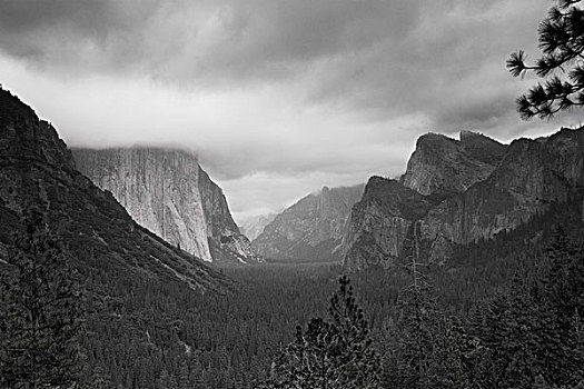 黑白图片,优胜美地山谷,优胜美地国家公园