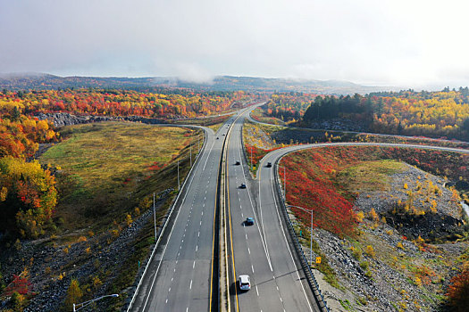 道路