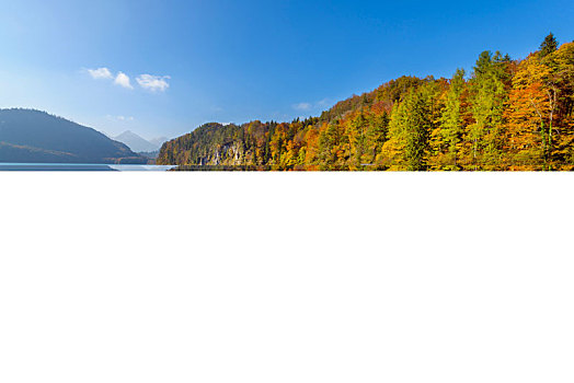 湖,秋天,斯瓦比亚,巴伐利亚,德国