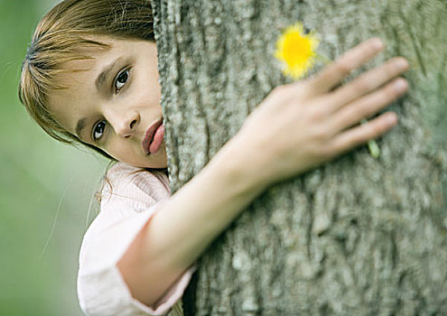 女孩,搂抱,树,拿着,花