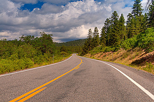 utah,state,road,12