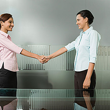 两个,职业女性,握手