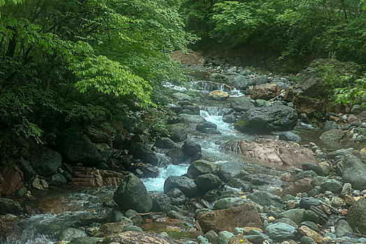 神农架,官门山,风景,景点,旅游,高山,瀑布,河流,神秘,树木,植被,野人,动物,标本,展览,雕塑,蜂箱,养蜂,蜜蜂