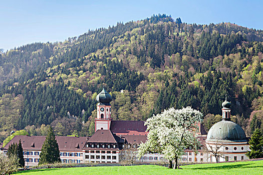 教堂,山谷,黑森林,巴登符腾堡,德国,欧洲