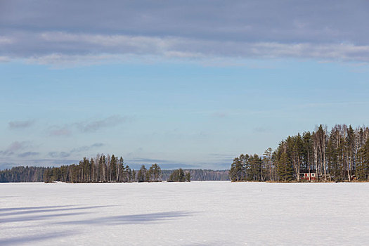 芬兰,区域,风景,雪,湖,冬天
