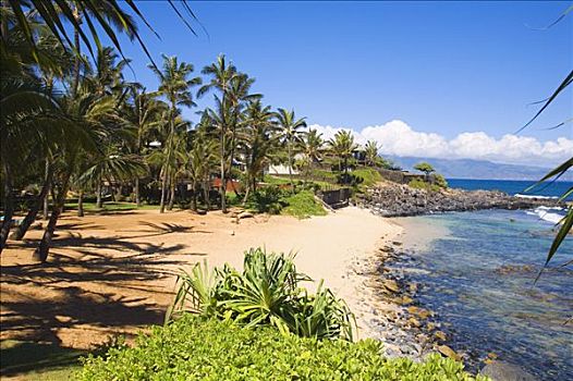 夏威夷,毛伊岛,远眺,小湾,鱼,房子