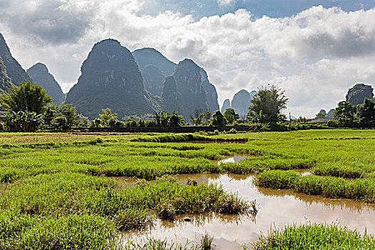 广西遇龙河